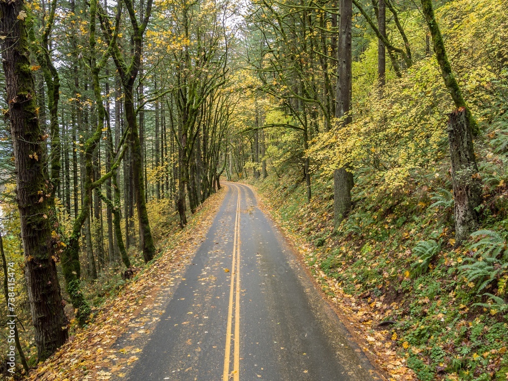 Country road in Columbia River Gorge National Scenic Area , Oregon, United States. Country road in Columbia River Gorge National Scenic Area , Oregon, United States.