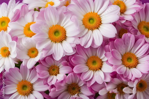 Pink and White Flowers Background