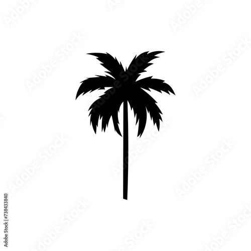 Silhouette of palm tree on white background