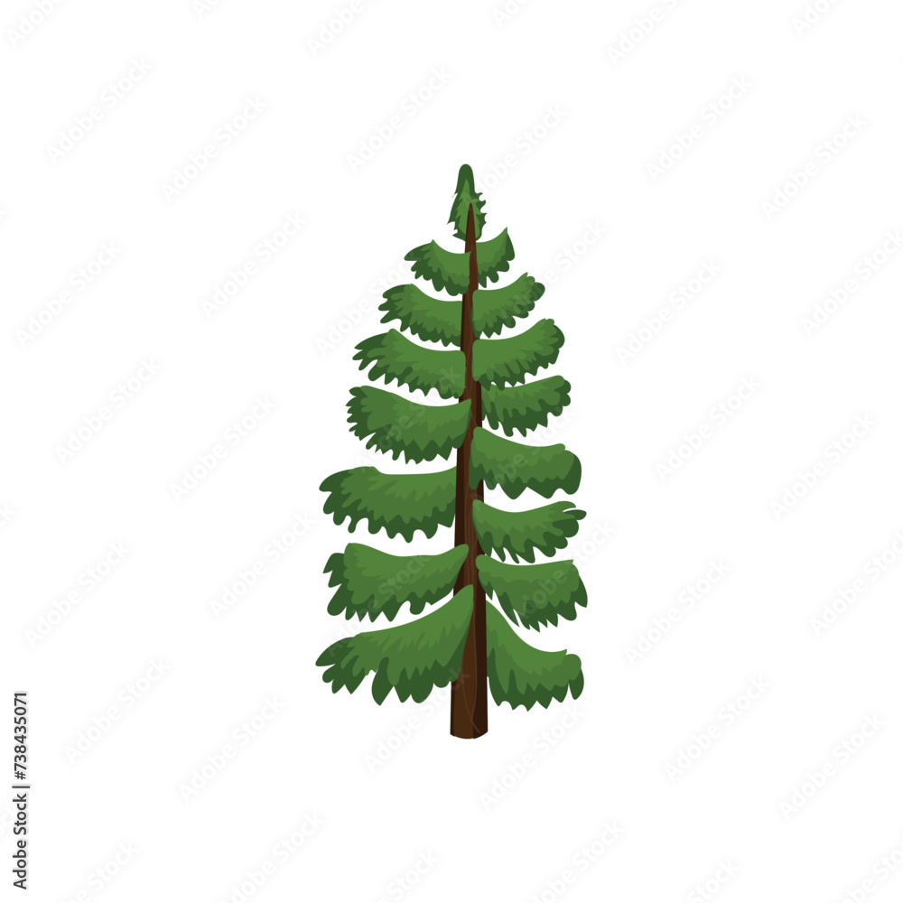 Drawn coniferous tree on white background Drawn coniferous tree on white background
