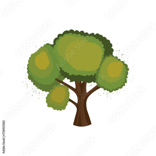 Drawn oak tree on white bac...