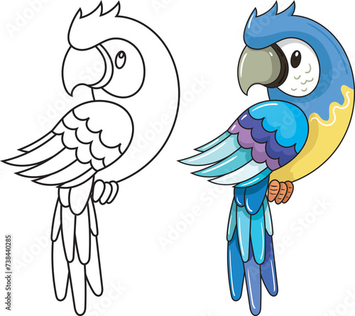 blue and yellow macaw ara ararauna