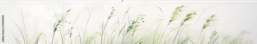 tall grass against a white background tall grass against a white background