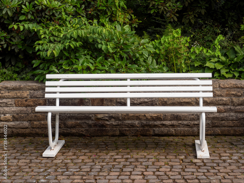Serene Park Bench by Lush Greenery Serene Park Bench by Lush Greenery