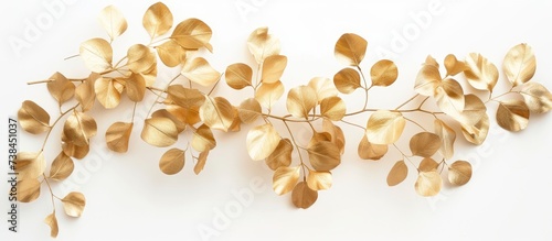 Golden eucalyptus branches arranged in a wreath on a white background, photographed from above.