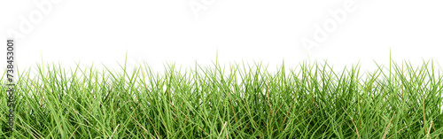 Cut out grass isolated on transparent