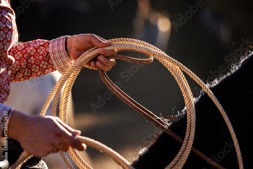 Cowgirl Tools photo