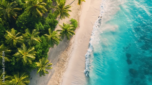 Top view, summer beach with palm trees and ocean waves