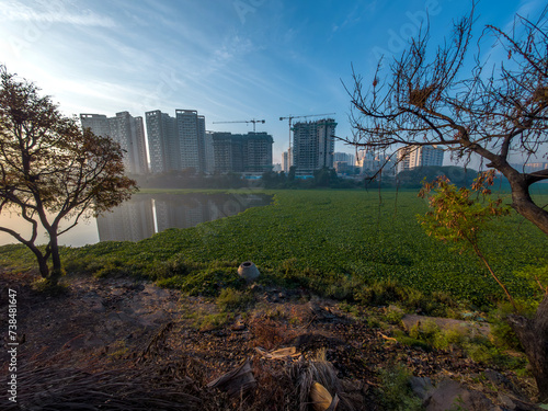 Green water hyacinth covers the river Mula Mutha at Pune India. It forms dense, impenetrable mats which clog waterways, making boating, fishing and almost all other water activities, impossible. photo