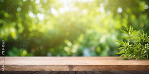 Sunlit wooden table with a green garden backdrop featuring grass  leaves  and blurred foliage.