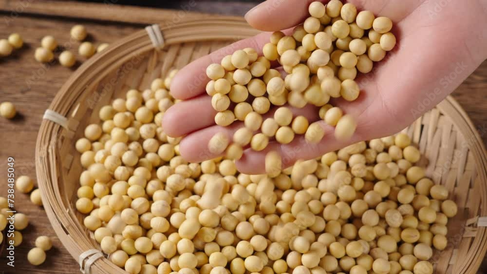 Dried soybeans seeds or soya in hand on table. Dried soybeans seeds or soya in hand on table.