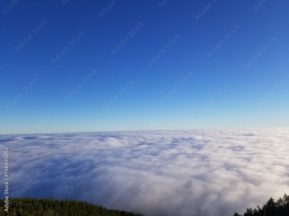 Obraz premium 富士山５合目の雲海