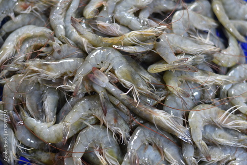 Raw Freshwater Shrimps at traditional market indonesian.