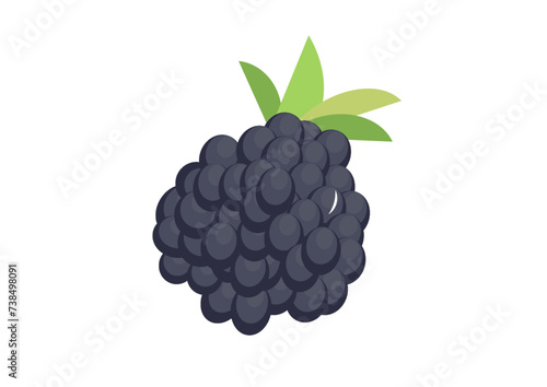 Grapes Vector