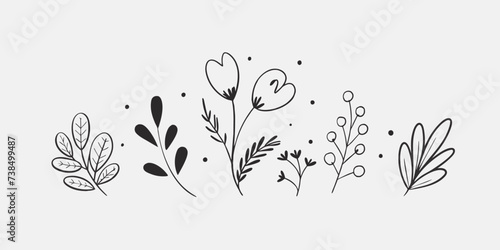 Trendy flowers for  decorations. Hand drawn line wedding decoraton, elegant leaves for invitation save the date card. Botanical rustic trendy greenery photo