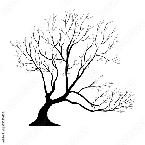 Wanaka Tree black silhouette simple tree