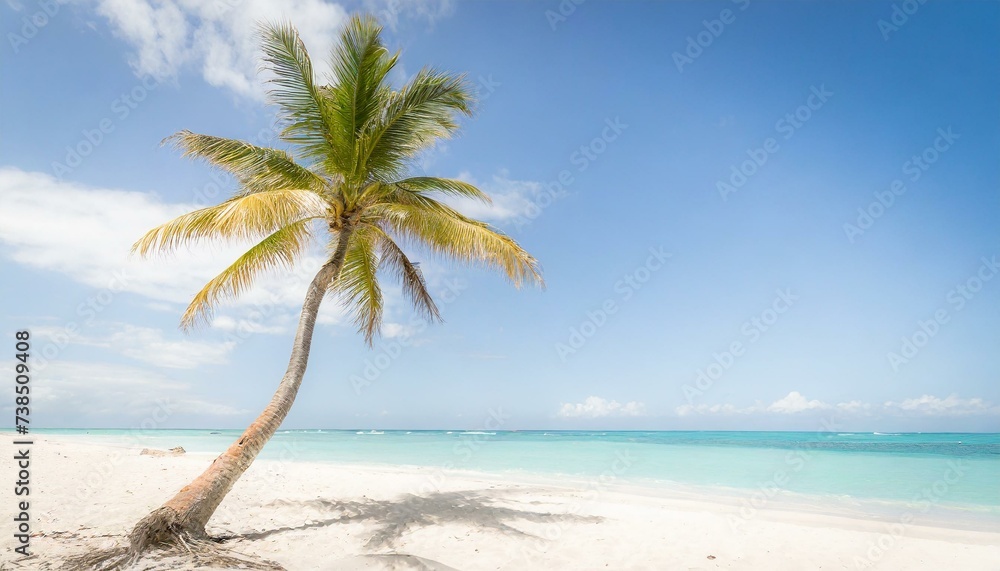 Palm tree swaying gently in a tropical breeze on a pristine white sandy beach, against a backdrop of turquoise waters and clear blue skies