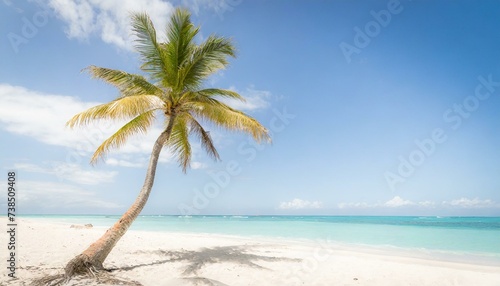 Palm tree swaying gently in a tropical breeze on a pristine white sandy beach  against a backdrop of turquoise waters and clear blue skies