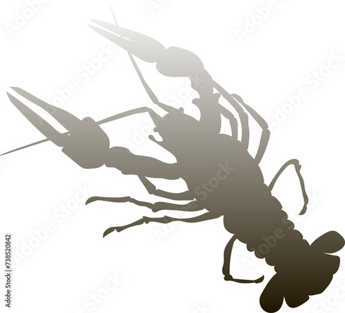 Large and tasty crayfish are a great snack for beer.  silhouette Gradient