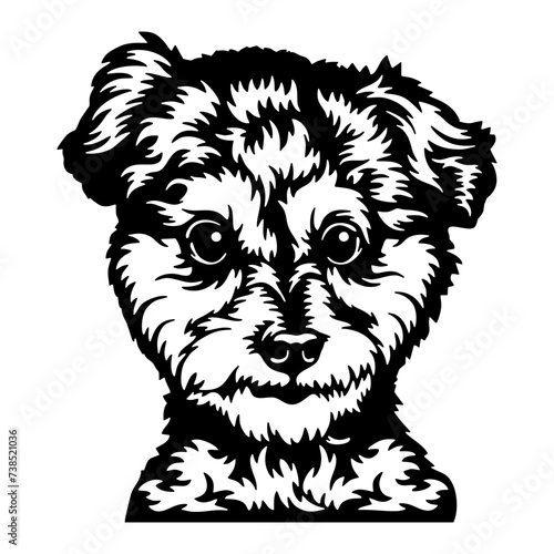 Peeking Yorkshire Terrier - Dog lover owner gift - Dog cut file - Peeking Dog Cut Stencil