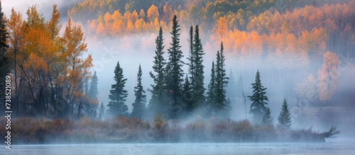 Misty morning on the river with trees in the foreground during autumn.