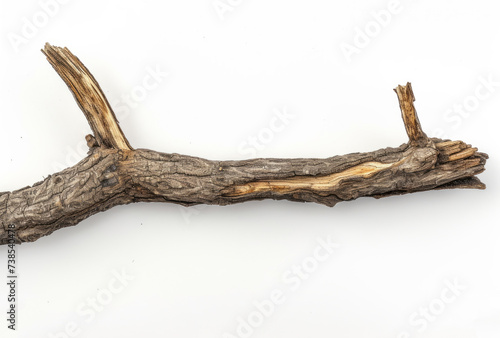 A broken wooden branch is isolated on a white background, captured with macro photography in light gray and brown hues, reflecting cabincore aesthetics and a close-up view.