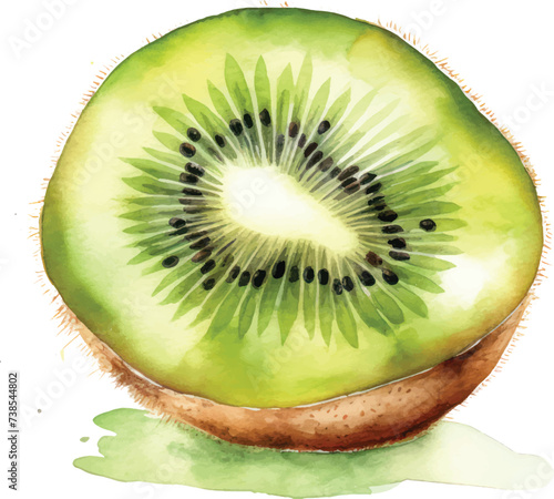 kiwi fruit watercolor illustration isolated on white transparent background.