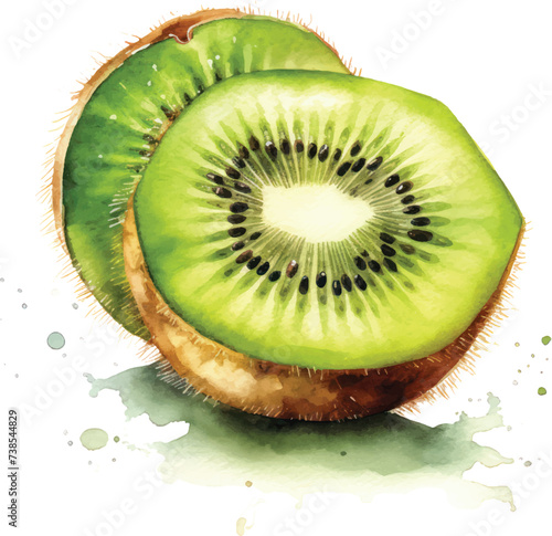 kiwi fruit watercolor illustration isolated on white transparent background.