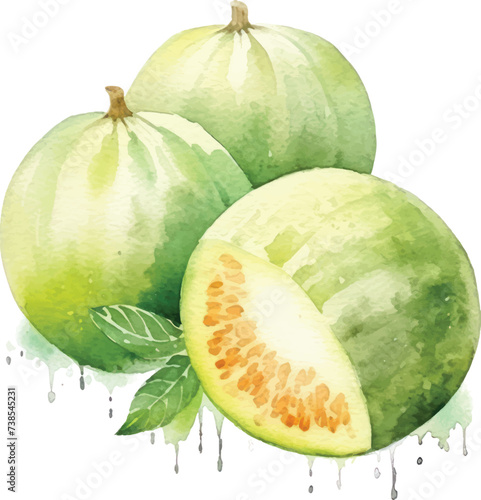Melon watercolor illustration isolated on white transparent background.