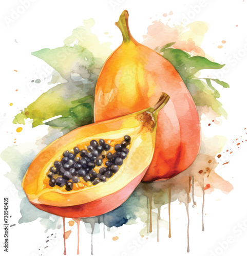 Papaya  watercolor Illustration for greeting cards, printing and other design projects.