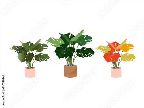 Collection of vector icon illustration potted plants for the interior. Isolated on white background. Urban jungle, trendy home decor with plants, tropical leaves. Home garden concept in flat design.
