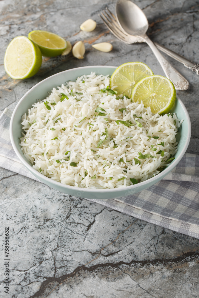 Mexican Cilantro Lime Garlic Rice closeup on the bowl on the marble table. Vertical Mexican Cilantro Lime Garlic Rice closeup on the bowl on the marble table. Vertical