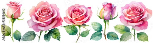 水彩タッチのバラのイラスト photo