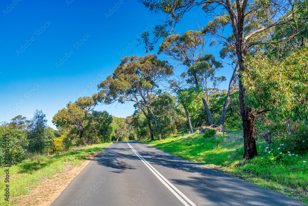 Fototapeta premium Driving along the coast of Western Australia, Boranup