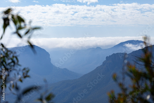 foreground of leaves to distant layered hills in the Blue Mountains photo