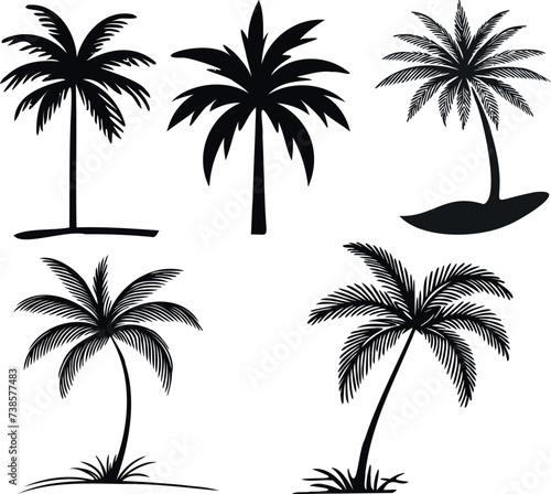 Palm tree silhouette  tropical nature illustration. Elegant black outlines depict exotic  serene beauty. Ideal for designs  backgrounds