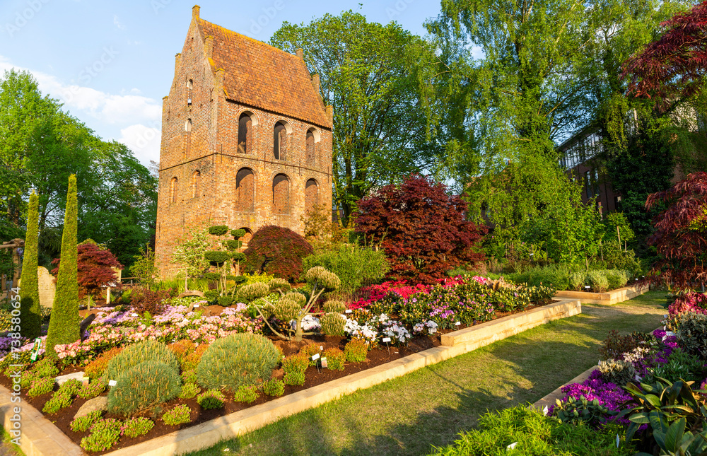 The biggest european exhibition of rhododendrons in Westerstede