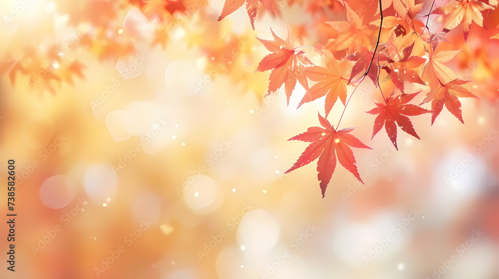 Fallen leaves in the forest in autumn, vibrant trees in the forest Fallen leaves in the forest in autumn, vibrant trees in the forest