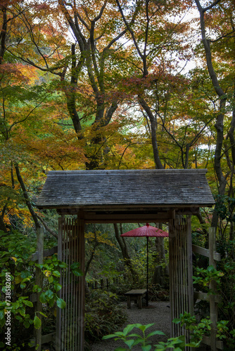 wooden bench in the park
