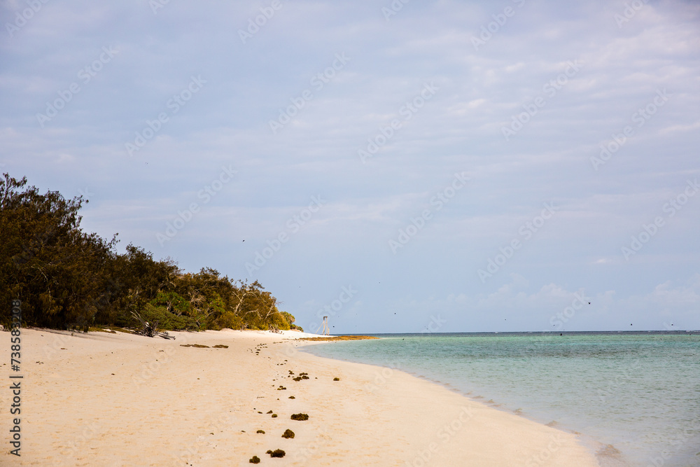 An empty beach on Heron Island