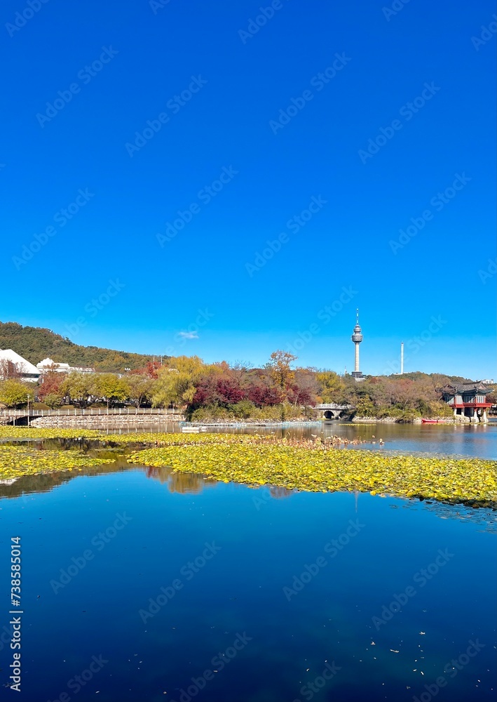 대구광역시 성당못 (Daegu pond)