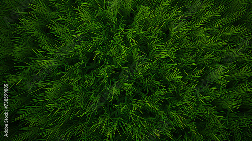 Green synthetic artificial grass football sports field with white corner striped lines