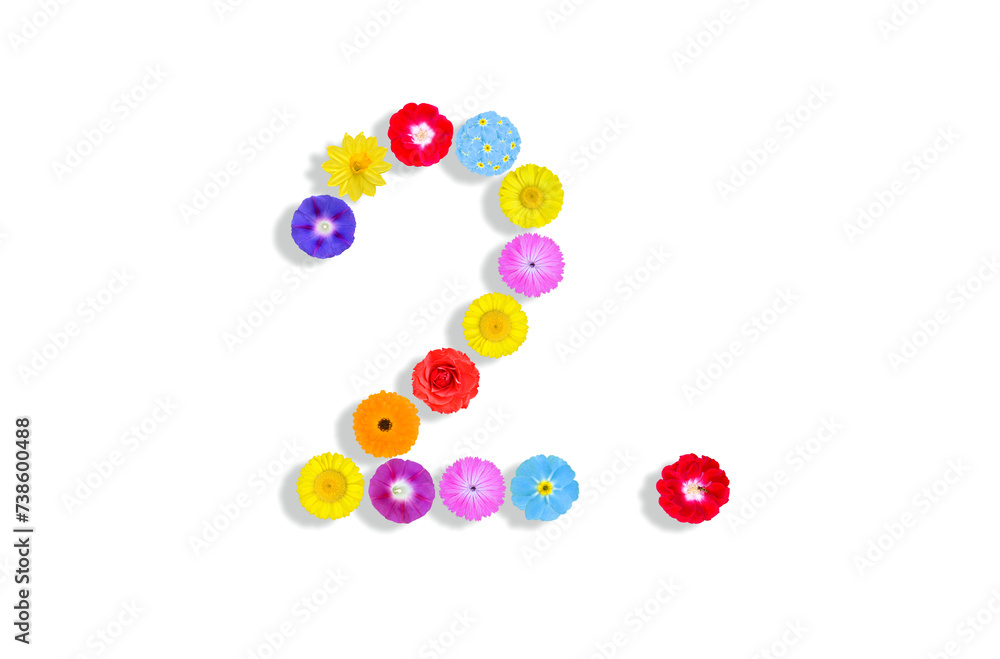 number  written on white background with colorful flowers, Graphic, Illustration
