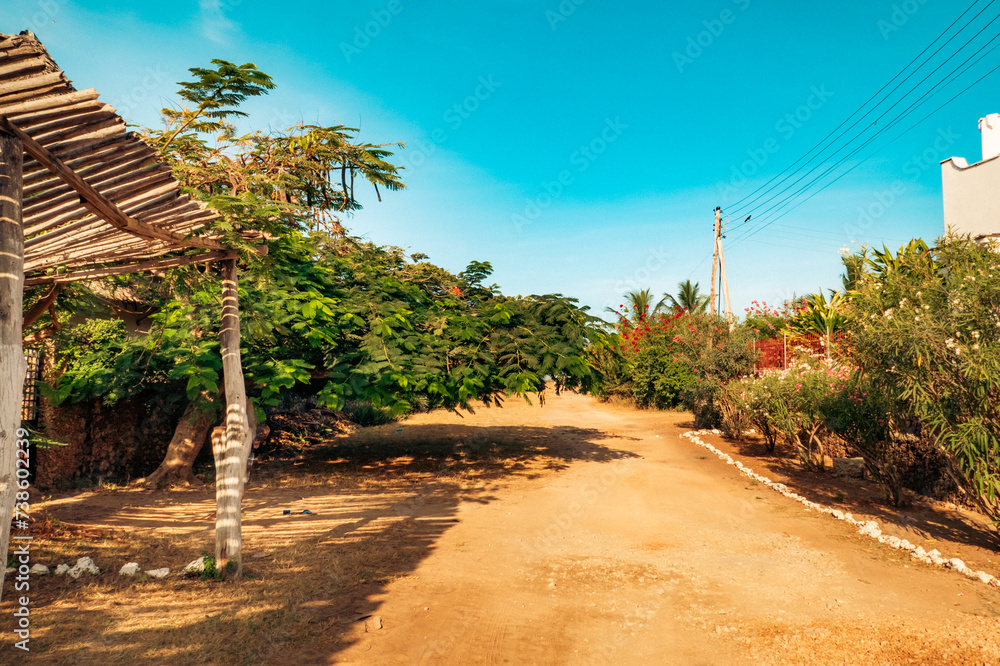 Fototapeta premium An empty road amidst trees in Malindi, Kenya