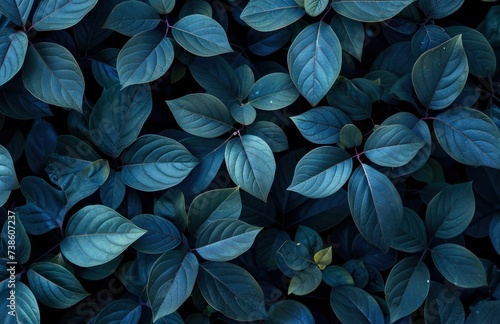 black and blue leaves on a black background, in the style of light maroon and dark emerald © olegganko