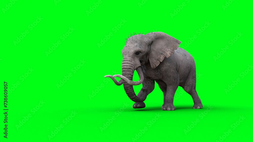 Obraz premium African elephant idle. 3d rendering.