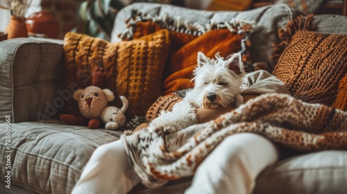 A person in casual clothes cuddles with their furry friend on a comfy couch, ...