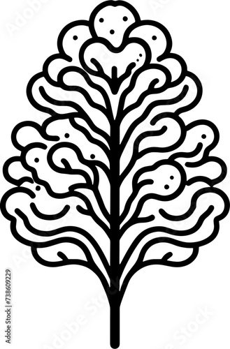 Hydnoraceae Plant icon 8