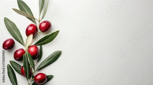 Minimalistic white background with a branch of olives on the left and free sp...