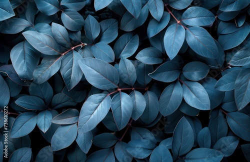 black and blue leaves on a black background, in the style of light maroon and...